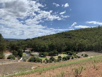 Scenic view of agricultural field against sky