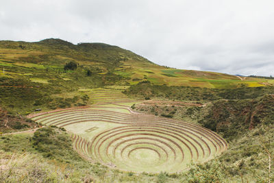 The famous peruvian spot moray in peru