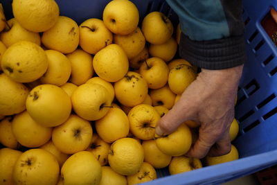 Close-up of man holding fruits for sale in market