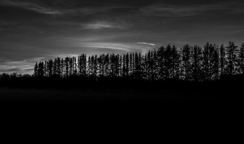 Silhouette trees on field against sky