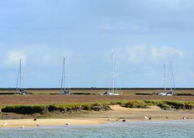 Sailboats moored by sea against sky