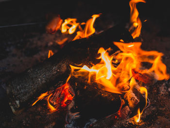 Close-up of bonfire at night