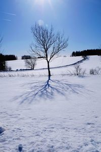 Bare tree on snow covered field against sky