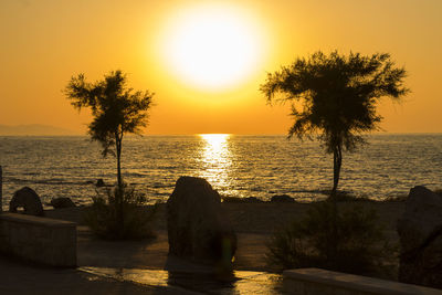 Silhouette of tree at seaside during sunset