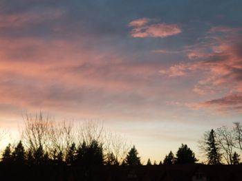 Silhouette trees against sky during sunset