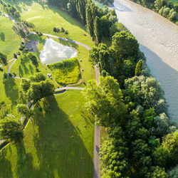 High angle view of trees on landscape