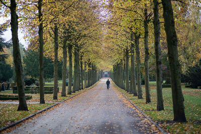 Footpath amidst trees in forest