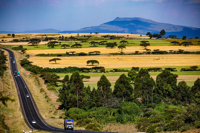 landscape