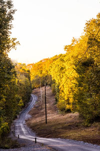 Road amidst trees against clear sky during autumn