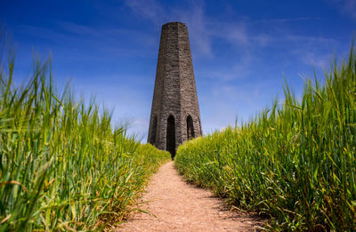 Footpath amidst agricultural field against sky