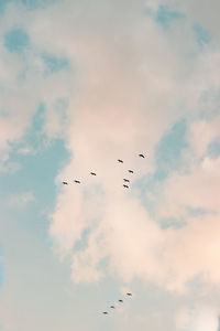 Low angle view of birds flying in sky