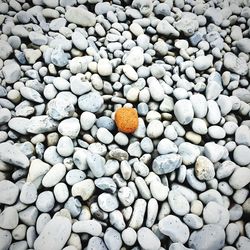 Pebbles on ground