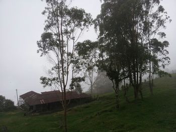 Scenic view of grassy field against sky