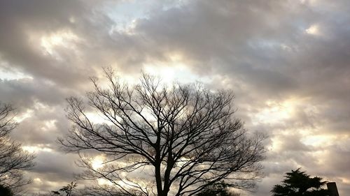 Low angle view of bare trees against cloudy sky