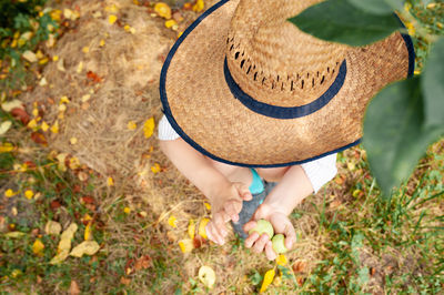 Wide straw hat on a man in a country white shirt with apples in his hands in a green apple orchard