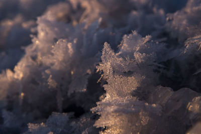 Full frame shot of snowflakes on snow