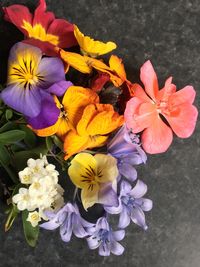 Close-up of flowers