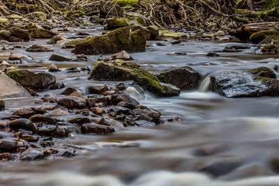 Surface level of stream flowing in water