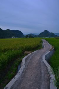 Road amidst field against sky