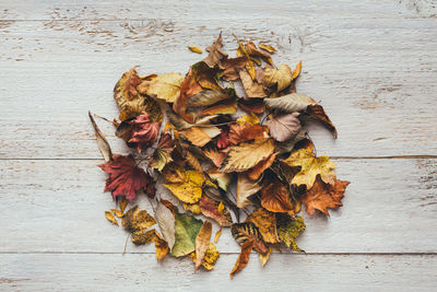 High angle view of dry leaves on table