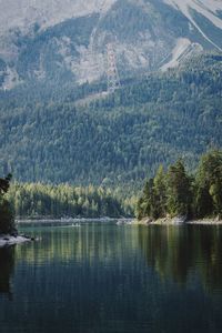 Scenic view of lake in forest