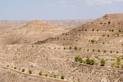 Scenic view of desert against sky