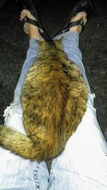 Low section of woman standing on tiled floor