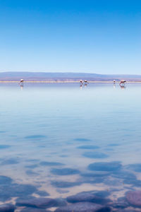 Scenic view of sea against blue sky