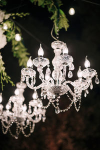 Close-up of illuminated lighting equipment hanging on tree