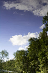 Low angle view of trees against cloudy sky