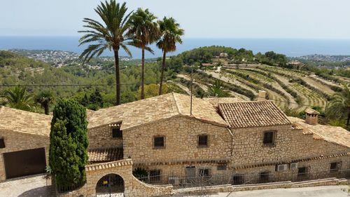 Palm trees and houses against sky