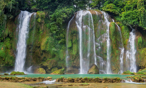 Scenic view of waterfall in forest