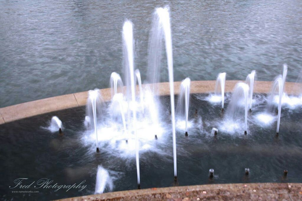 water, waterfront, lake, motion, splashing, reflection, bird, swimming, sea, nature, fountain, animals in the wild, animal themes, no people, river, rippled, swan, wildlife, outdoors