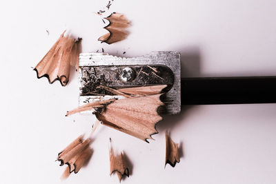 Close-up of broken pencil on table against white background