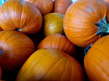 Full frame shot of pumpkins