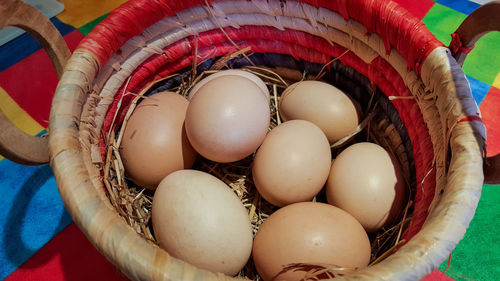 High angle view of eggs
