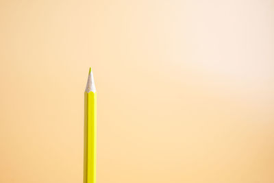 Close-up of colored pencils against white background