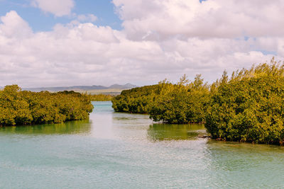 Scenic view of lake by trees against sky