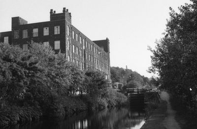 Trees by river in city against clear sky