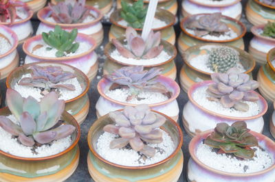 Close-up of various vegetables for sale in market