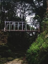 Abandoned bridge in forest