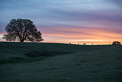 Scenic view of landscape against sky during sunset