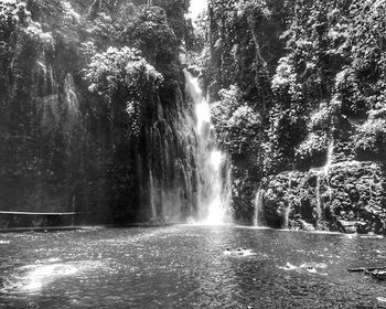 Scenic view of waterfall