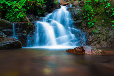 Scenic view of waterfall in forest