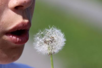 Close-up of man blowing dandelion flower