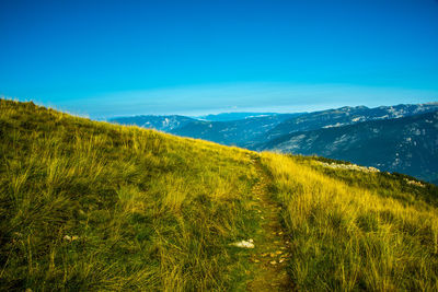 Path among the pastures on monte altissimo near lake garda, trento, italy