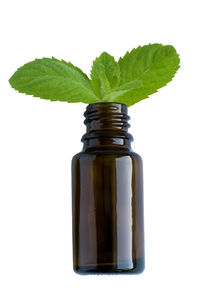 Close-up of green bottle against white background