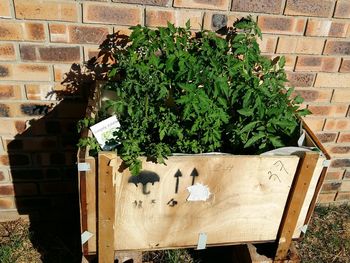 Plants against trees