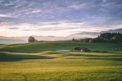 Scenic view of grassy landscape against cloudy sky during sunset