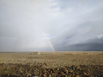 Scenic view of field against rainbow in sky